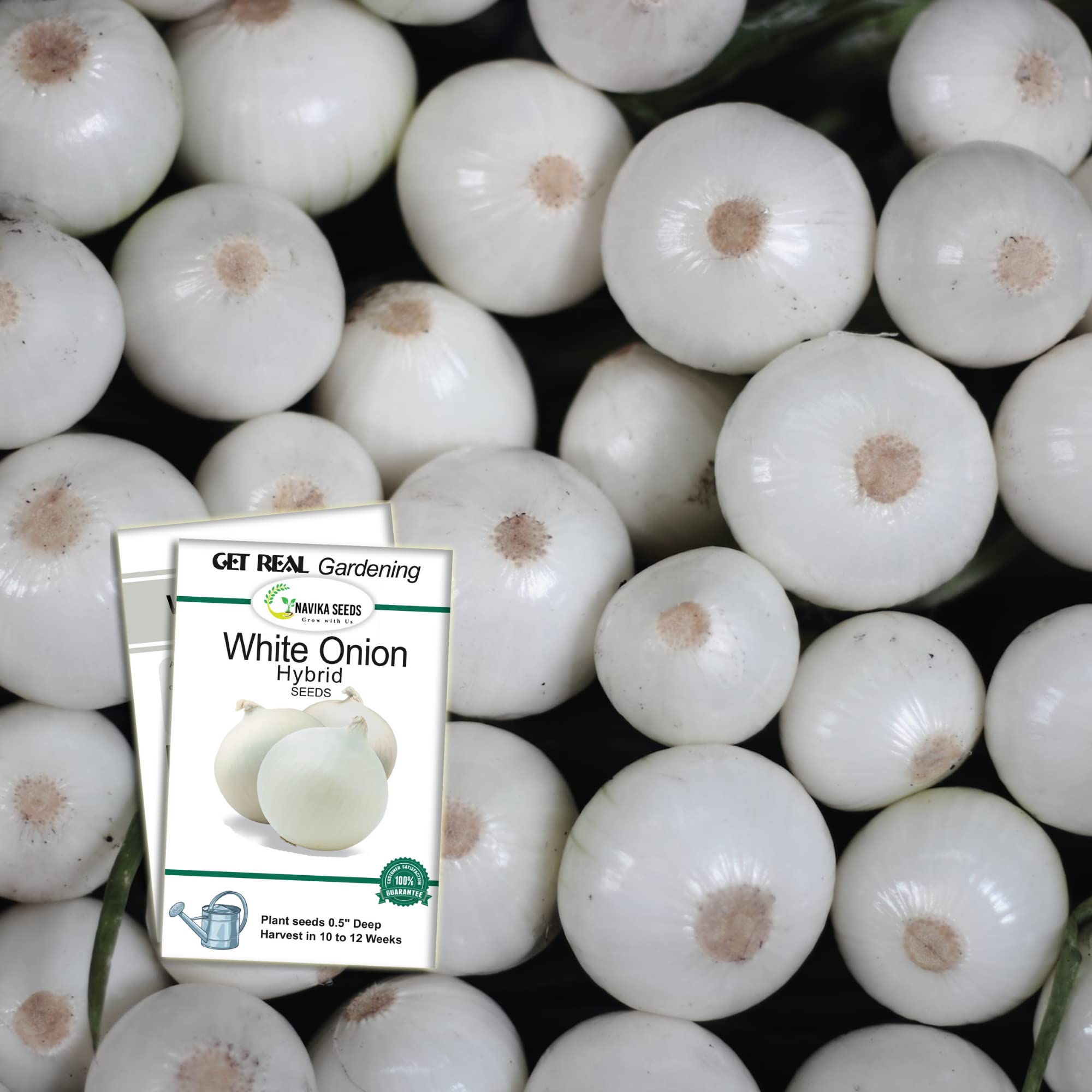 Navika Seeds ; Grow with Us White Onion Hybrid Vegetable Seeds for Gardening Free E Book for Kitchen,Backyard & Home Gardening & Planting included(Pack of 5 gram Hybrid White Onion Seeds) 4