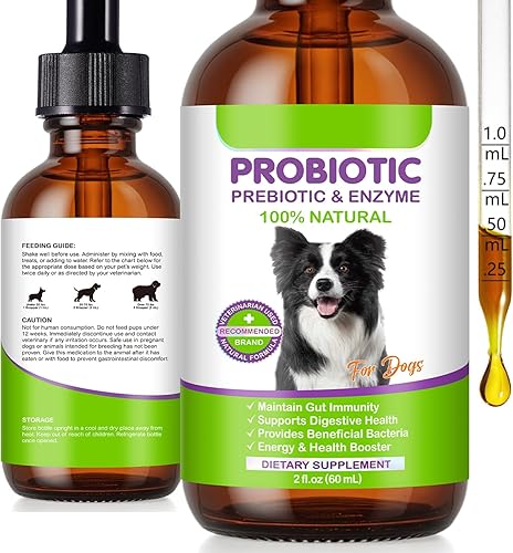 Probióticos para perros, probióticos líquidos para perros, enzimas prebióticas y digestivas, suplemento de probióticos para perros que ayudan a la