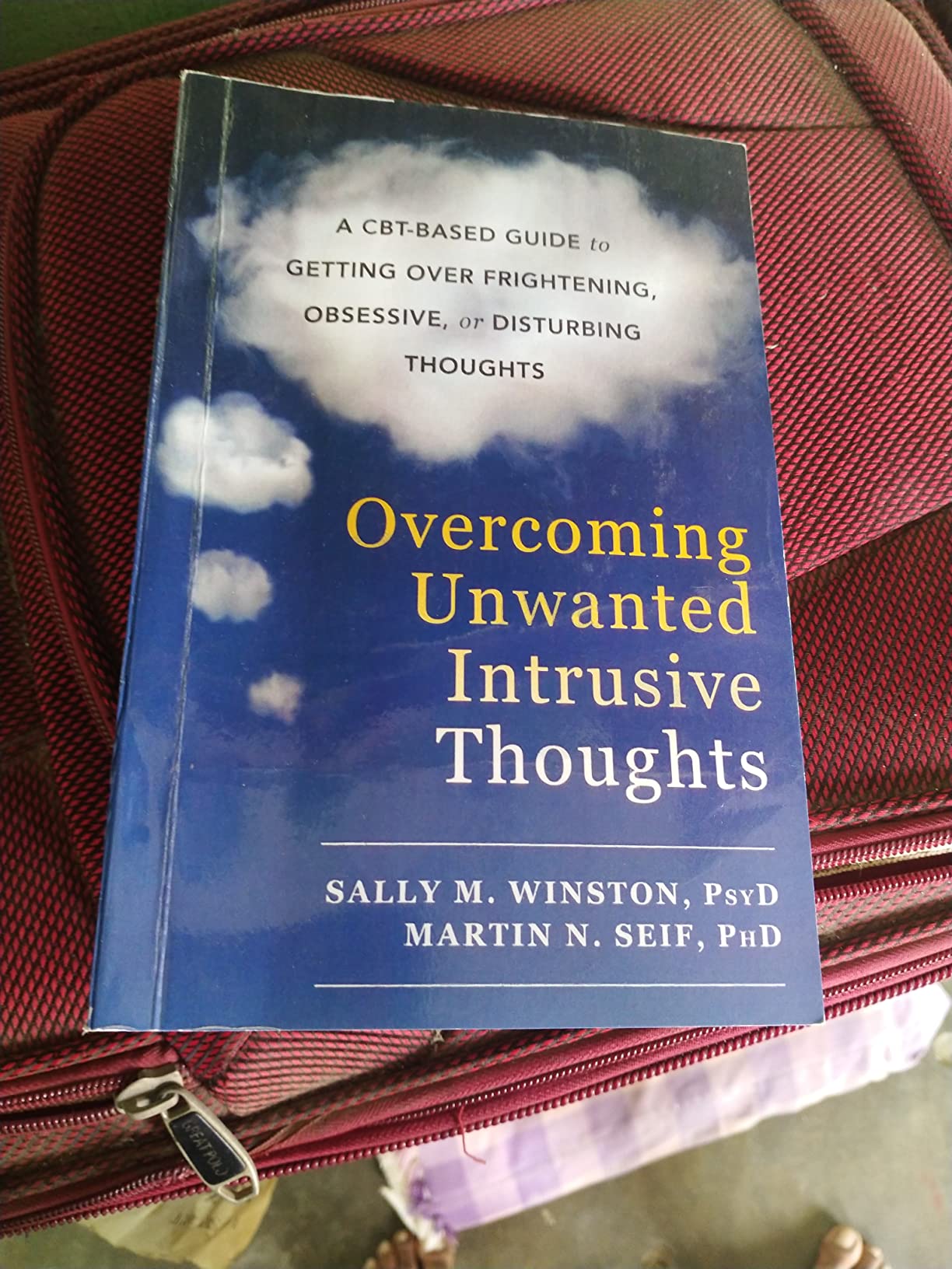 UNWANTED INTRUSIVE THOUGHTS Winston PsyD, Sally M., Seif PhD, Martin N. Amazon.in