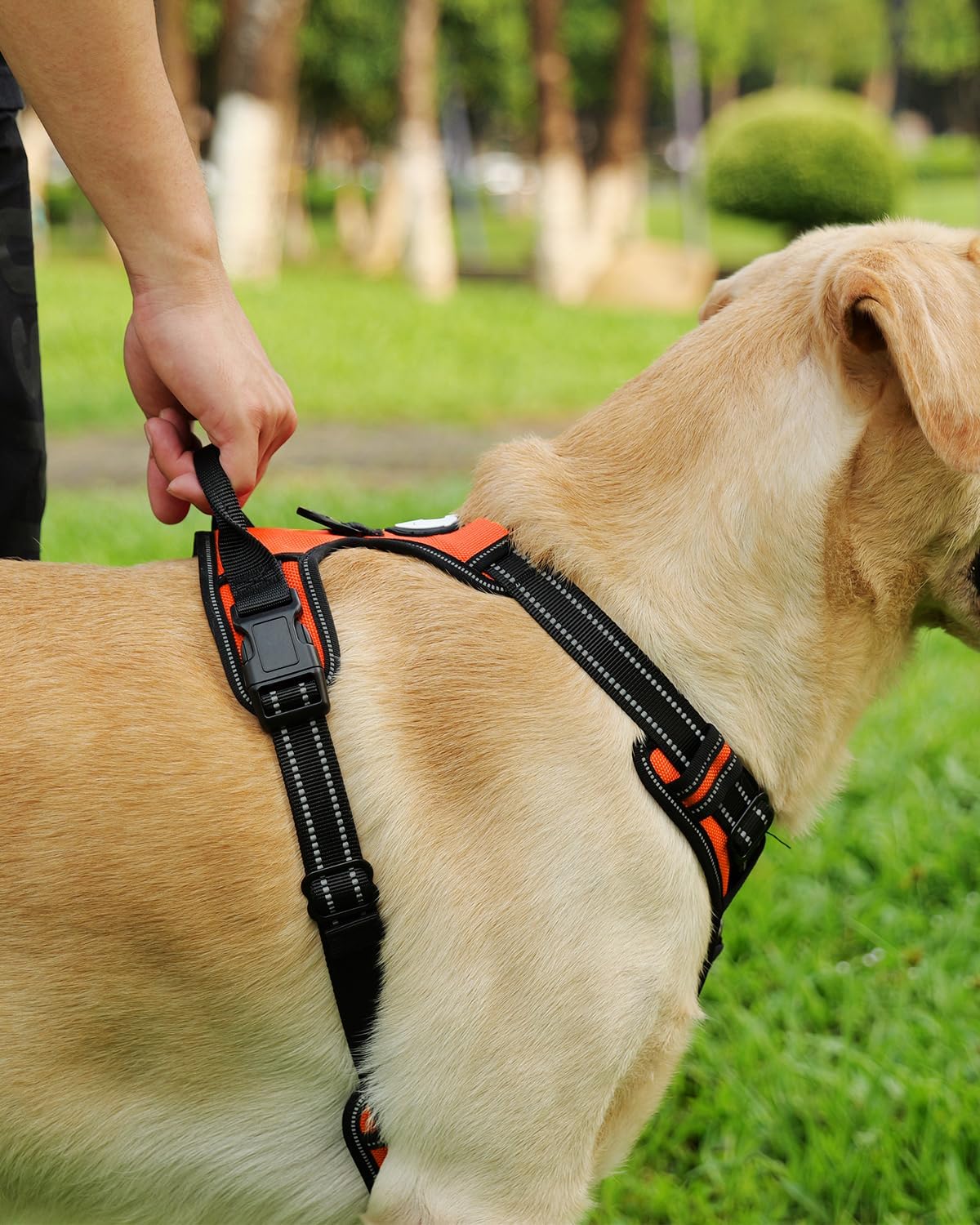 Joytale Dog Harness (Chest: 12-28"), Dog Collar and 6FT x 1" Wide Dog Leash Set, Reflective Neoprene Padded Collar and Leash, and Adjustable Soft Harness with Handle for Dogs