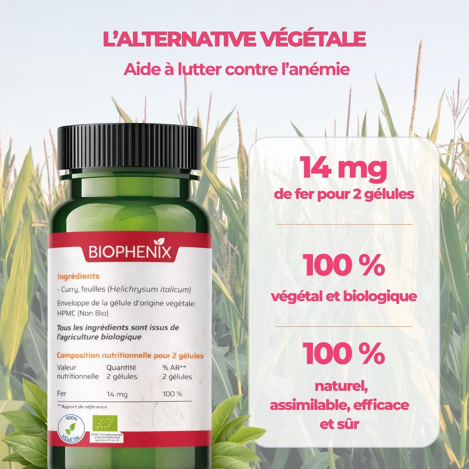 Biophénix Fer BIO 60 Gélules - Complément Alimentaire - 100% Naturel à Base de Végétaux - Contribue à la Réduction de la Fatigue - Fabriqué en France - 1 Gélule/Jours