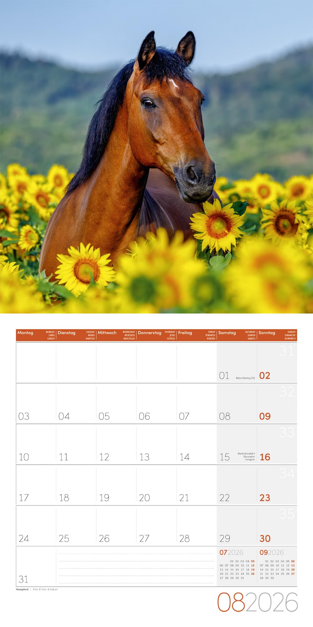 Pferde Broschürenkalender 2026 - 30x30 - Art12: Bildstarker Tier-Kalender im schlanken Hochformat (aufgeklappt 30x60 cm) | mit Eintrage-Kalendarium