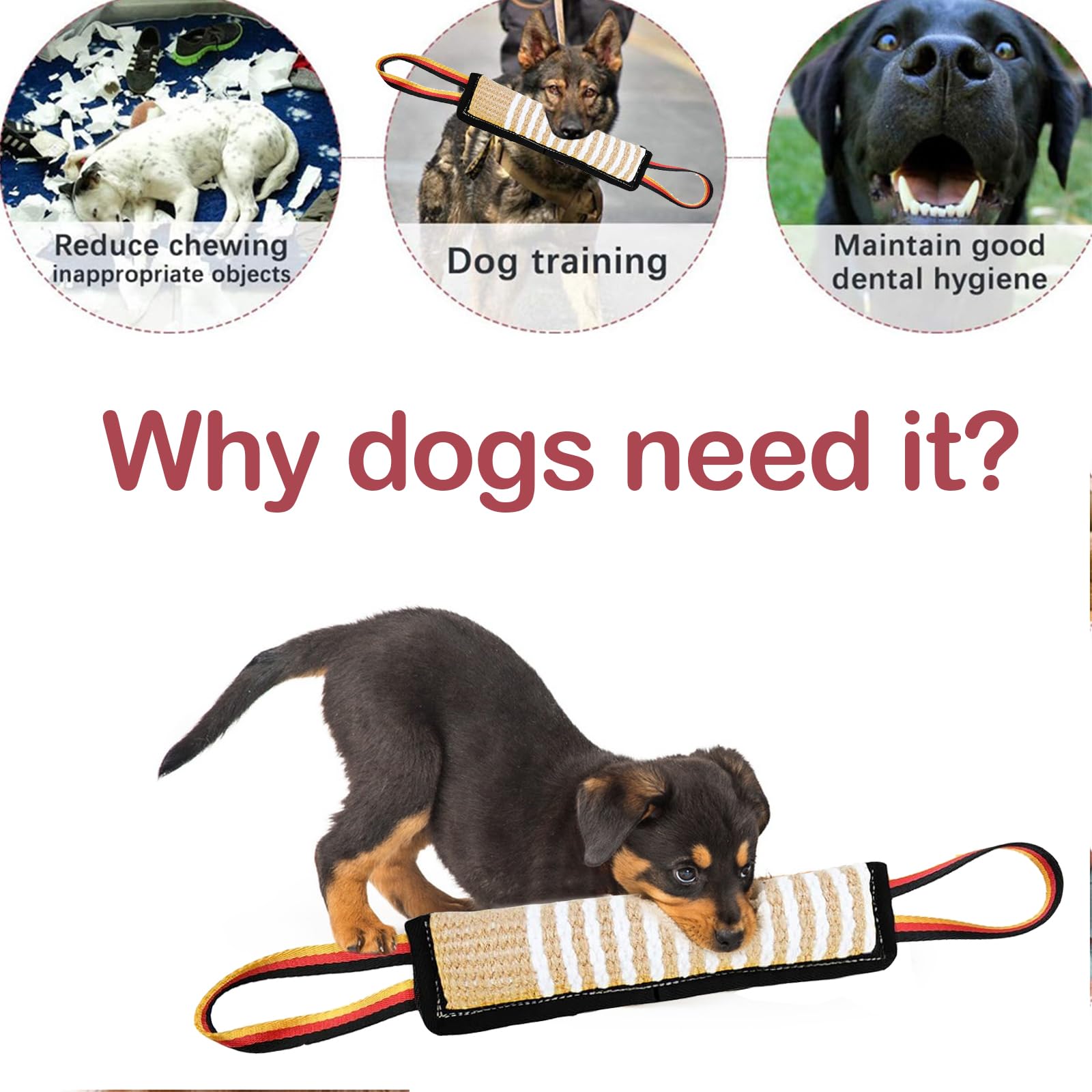 ASOCEA Dog Tug Toy - Image 4