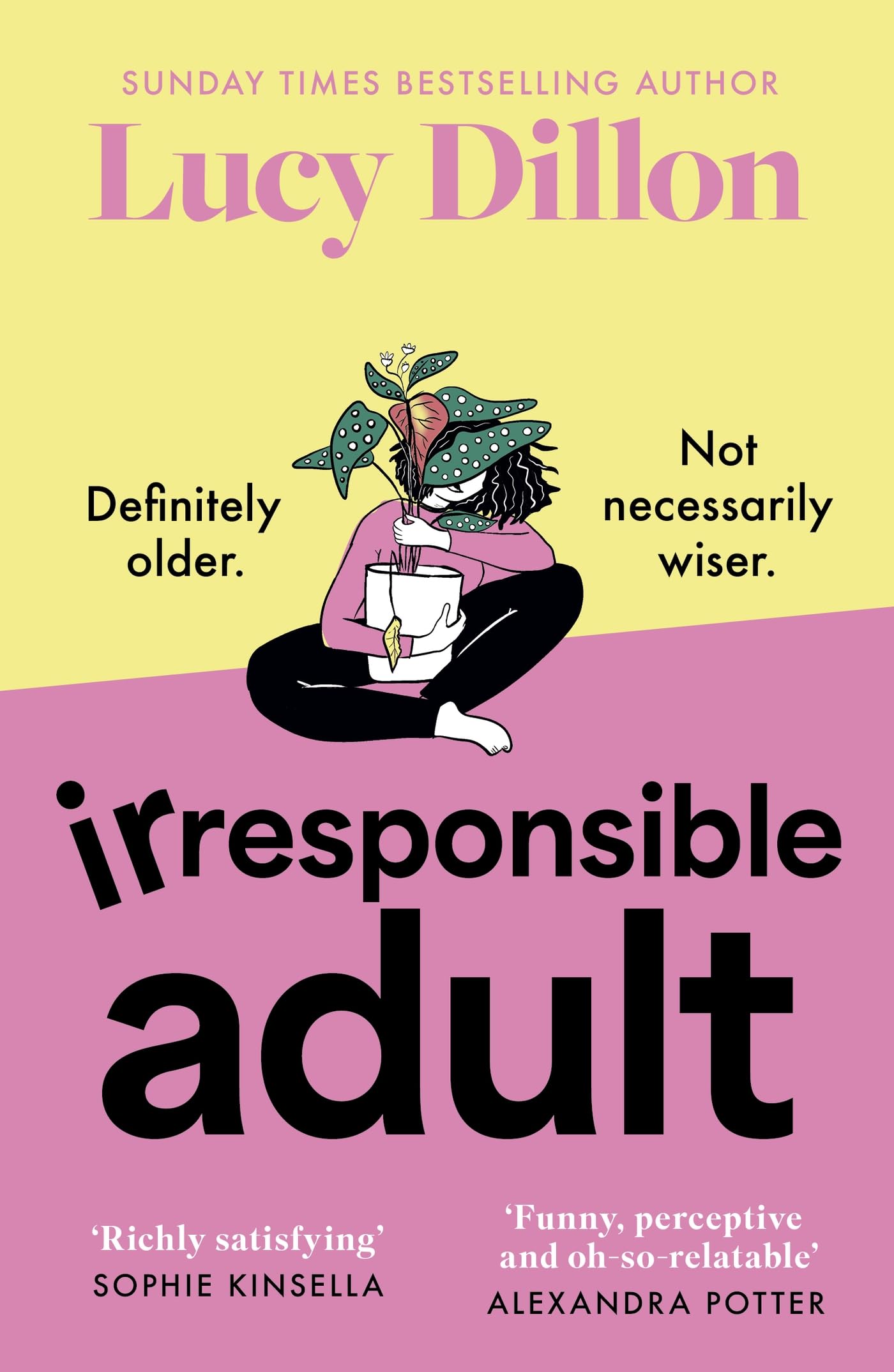 Irresponsible Adult: warm and witty, this is the perfect novel for anyone who is growing up disgracefully!