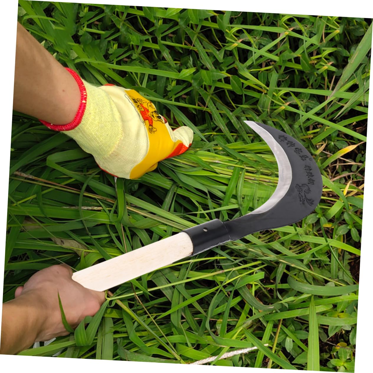 Mipcase Mano d'Acciaio al Manganese Coltello da da Giardinaggio