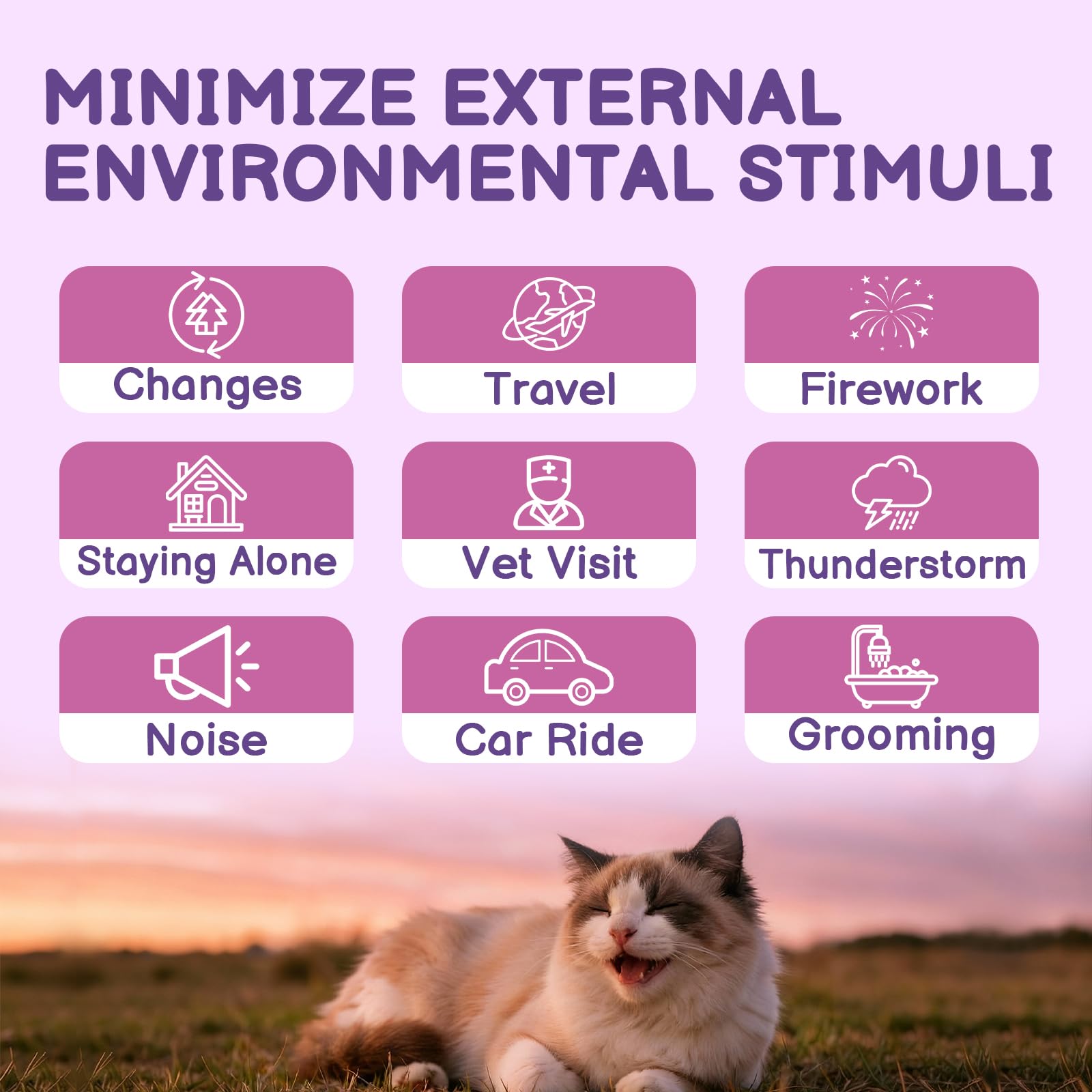 Cat Calming Pheromone Spray - Cat Calming Spray - Reduce Scratching, Fighting, Peeing, Marking - Cat Anxiety & Stress Relief - for Home, Travel, Vet Visits - with Cat Pheromone & Natural Ingredients - image 5