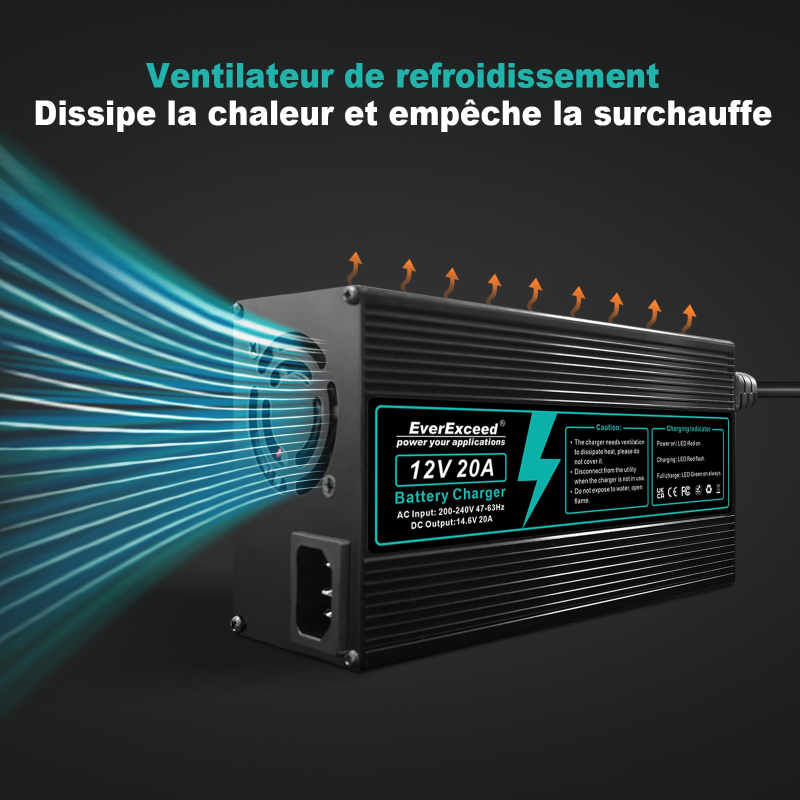 EverExceed Chargeur Lifepo4 12V 20A 14,6V Chargeur Lithium Lifepo4 AC-DC, Chargeur de Batterie Lifepo4 14,6V 20A pour Batterie Lifepo4 au Lithium à Cycle Profond de Voiture, Marine, VR