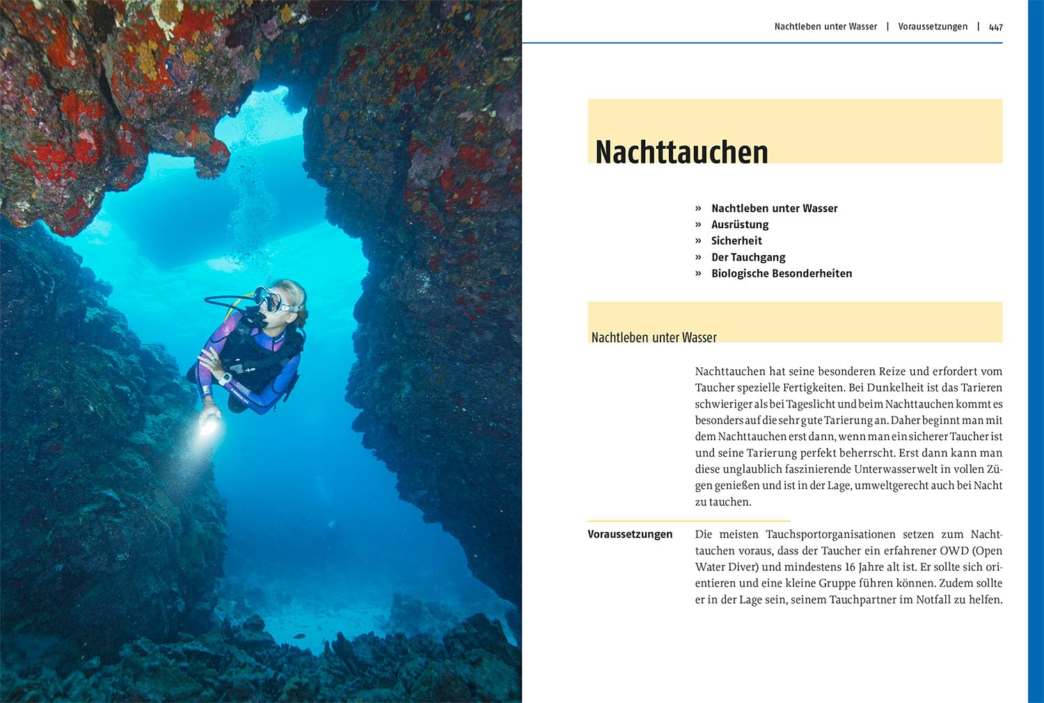 Modernes Tauchen: Handbuch für ein ganzes Taucherleben - Prüfungsvorbereitung für alle Tauchscheine