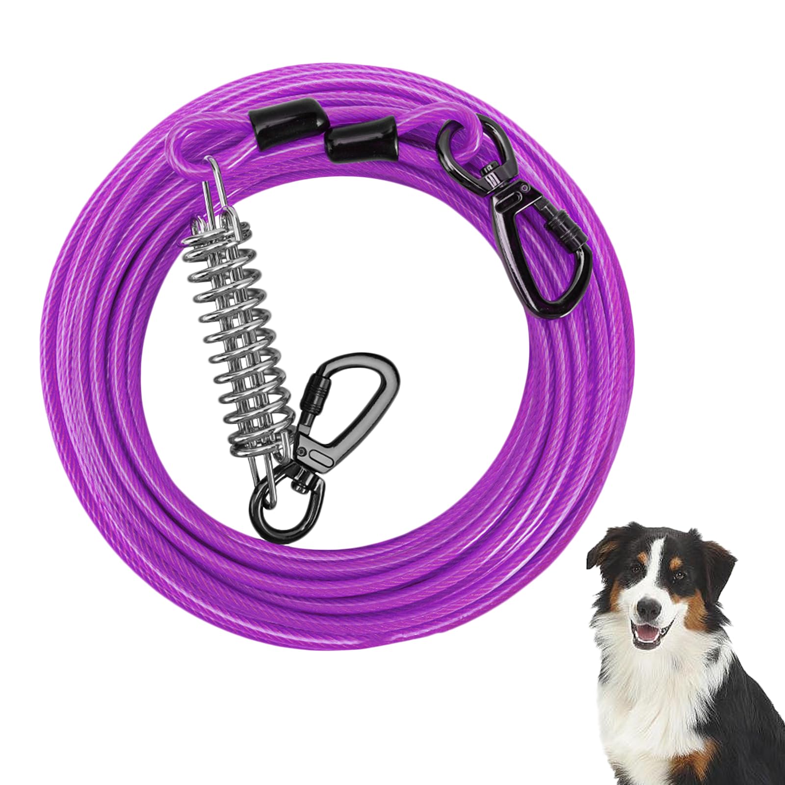 Câble d'attache pour Chien de 9 m (29,5 pi) avec Crochet Verrouillable à Ressort Durable et Sac de Rangement, Laisse Réfléchissante Anti-Morsure pour Chien l'Extérieur, Jardin Camping (Violet)