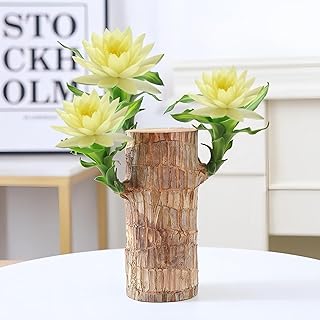 Brazilian Wood Plants,with Base and Mystery Doll Decorations, Easy to Plant in The Home Office to attracts Wealth,Lucky Wood Plant,Home Decoration