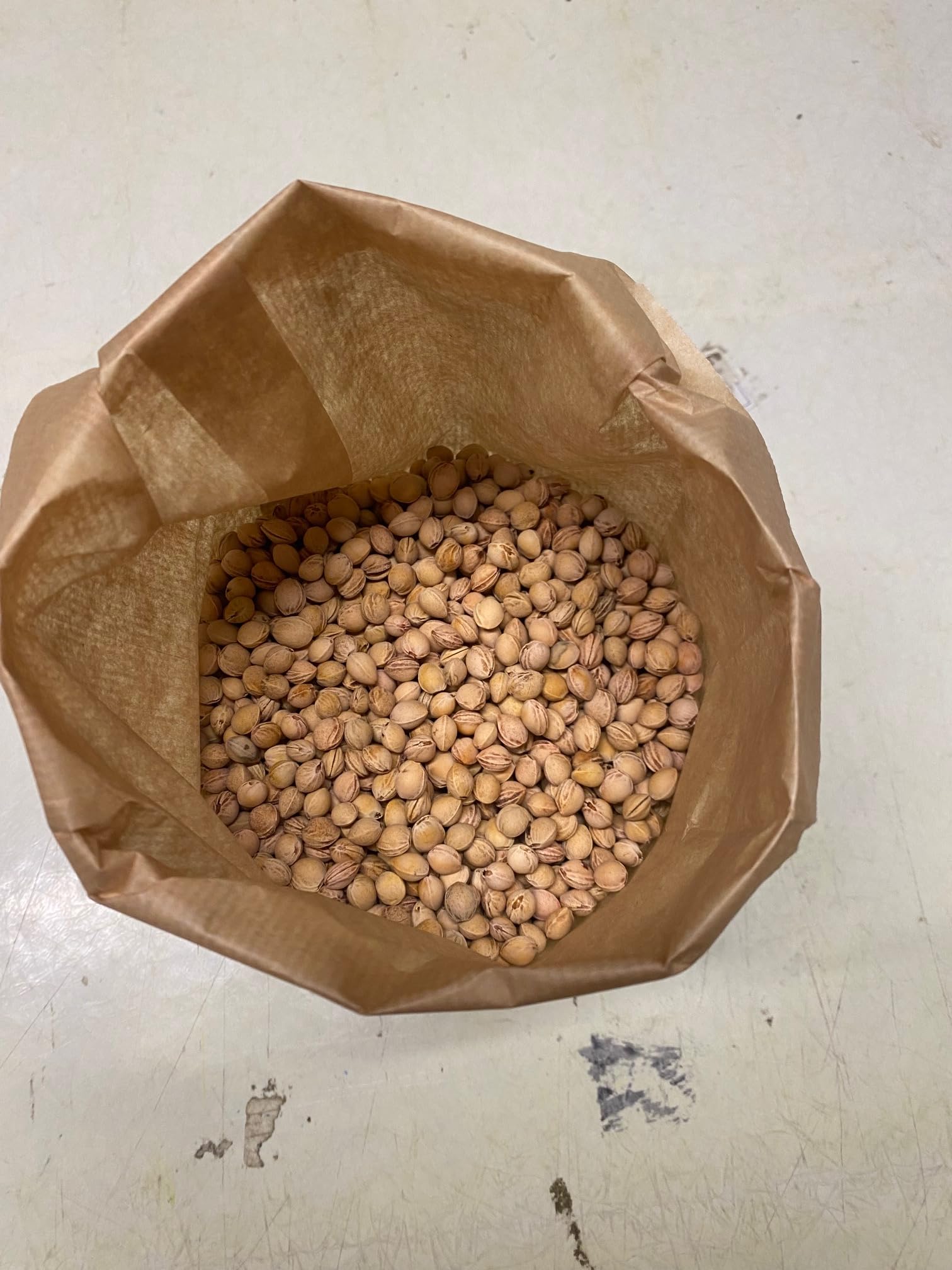 Kirschkerne lose 1 Kg