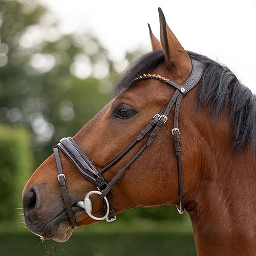 Miniatura 10 de HORZE Clermont - Brida ergonómica acolchada de cuero genuino para caballos  Banda nasal flash incluida