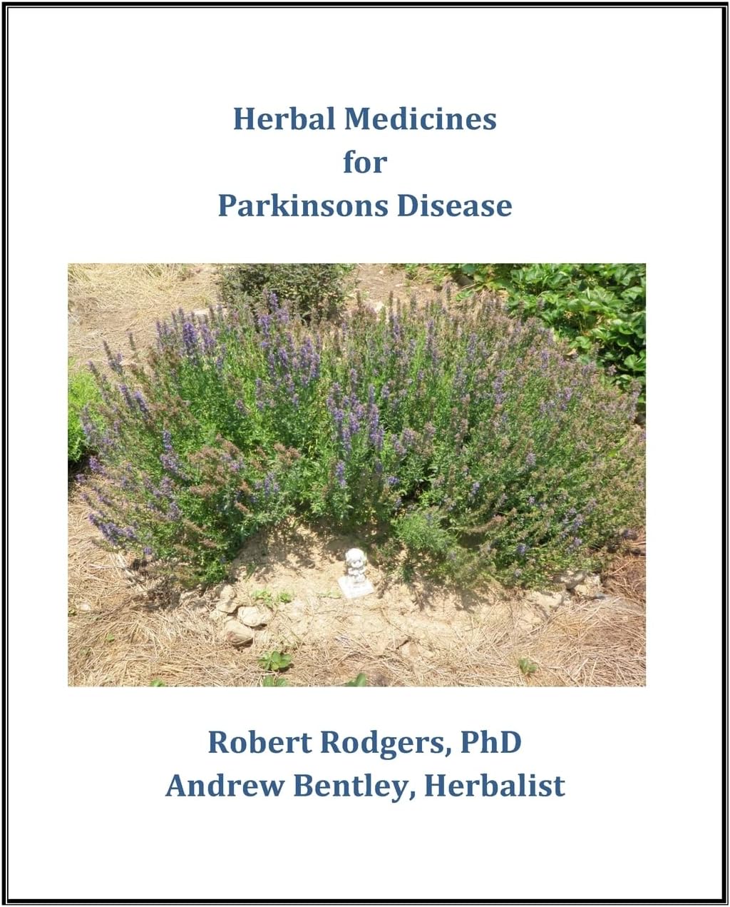 CREATESPACE Herbal Medicines for Parkinson's Disease Paperback – Import, 1 February 2014