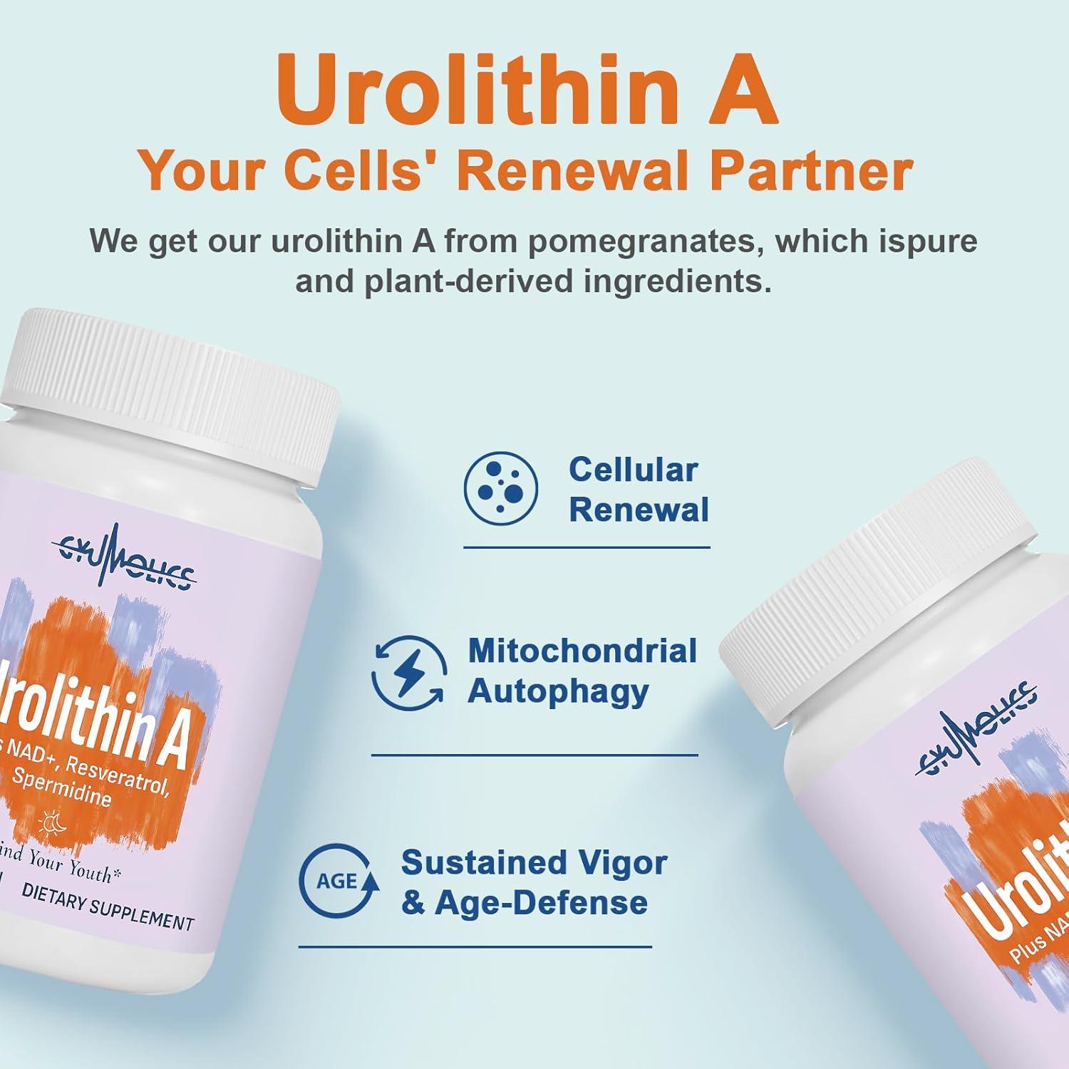 High Dose Urolithin A 1200mg Supplement for Mitochondrial, Cellular Longevity Support for Women & Men, NAD+, Trans-Resveratrol & Spermidine – High Purity & Potency, 180 Capsules - Image 3