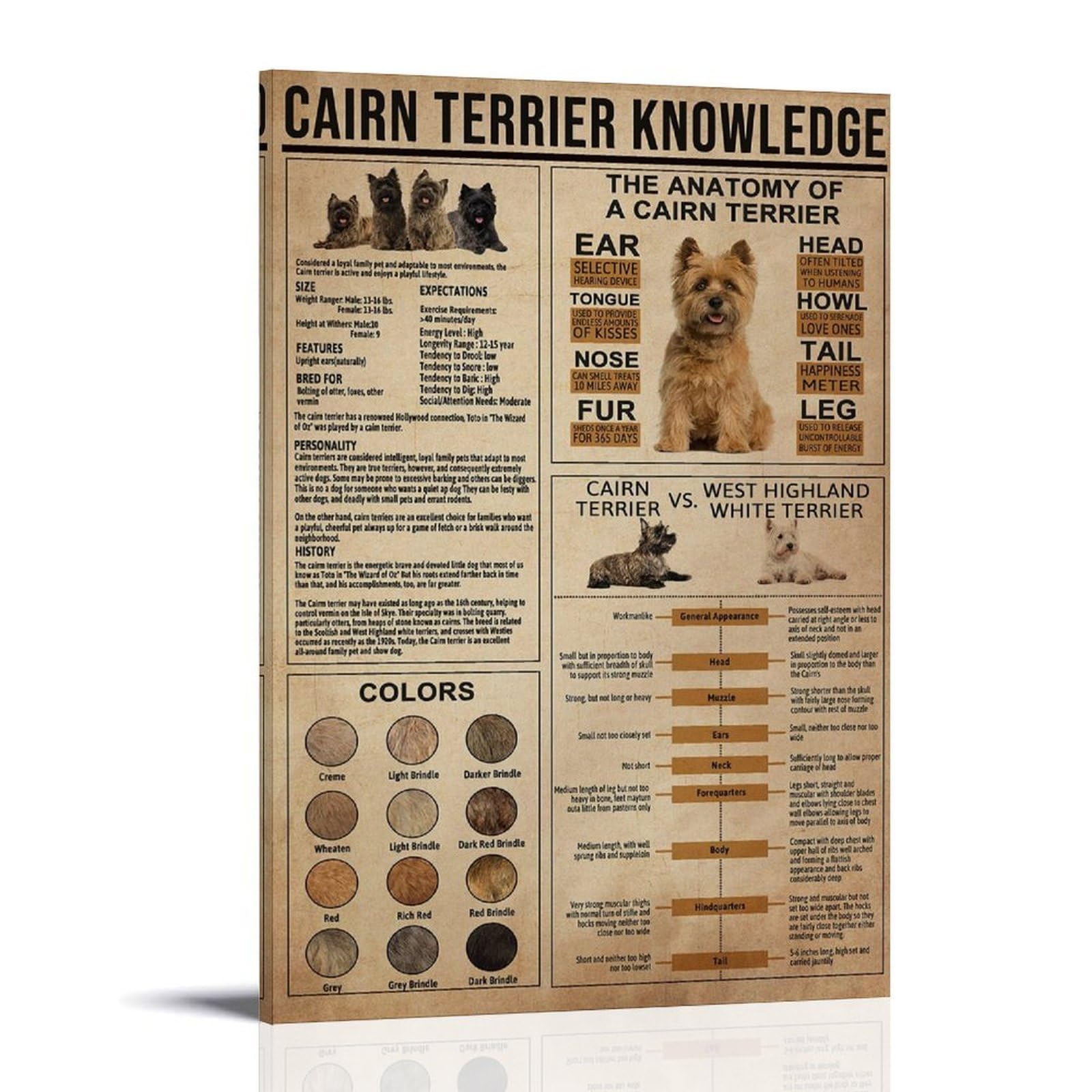 generisch Cairn Terrier Knowledge. Impresiones modernas en lienzo, pinturas decorativas para habitación de niños o niñas, murales para sala de estar y pinturas con motivos navideños 20 x 30 pulgadas