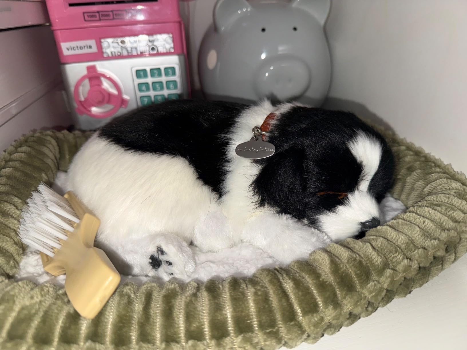 Original Border Collie Perfect Petzzz
