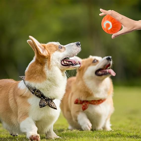 Interactive Dog Toy Ball, Interactive Toy Ball for Dogs, Interactive Dog Toy Ball for Large Dogs, Automatic Smart Teaching Dog Ball, Automatic Rolling Ball for Dogs, Pet Cat Dog Toy Ball-Blue
