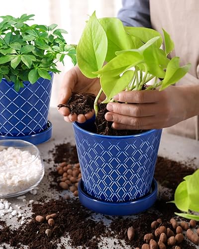 Miniatura 2 de EFISPSS Macetas de cerámica, macetas de 5 pulgadas para plantas de interior, macetas con agujeros de drenaje y bandeja de cerámica, regalo para