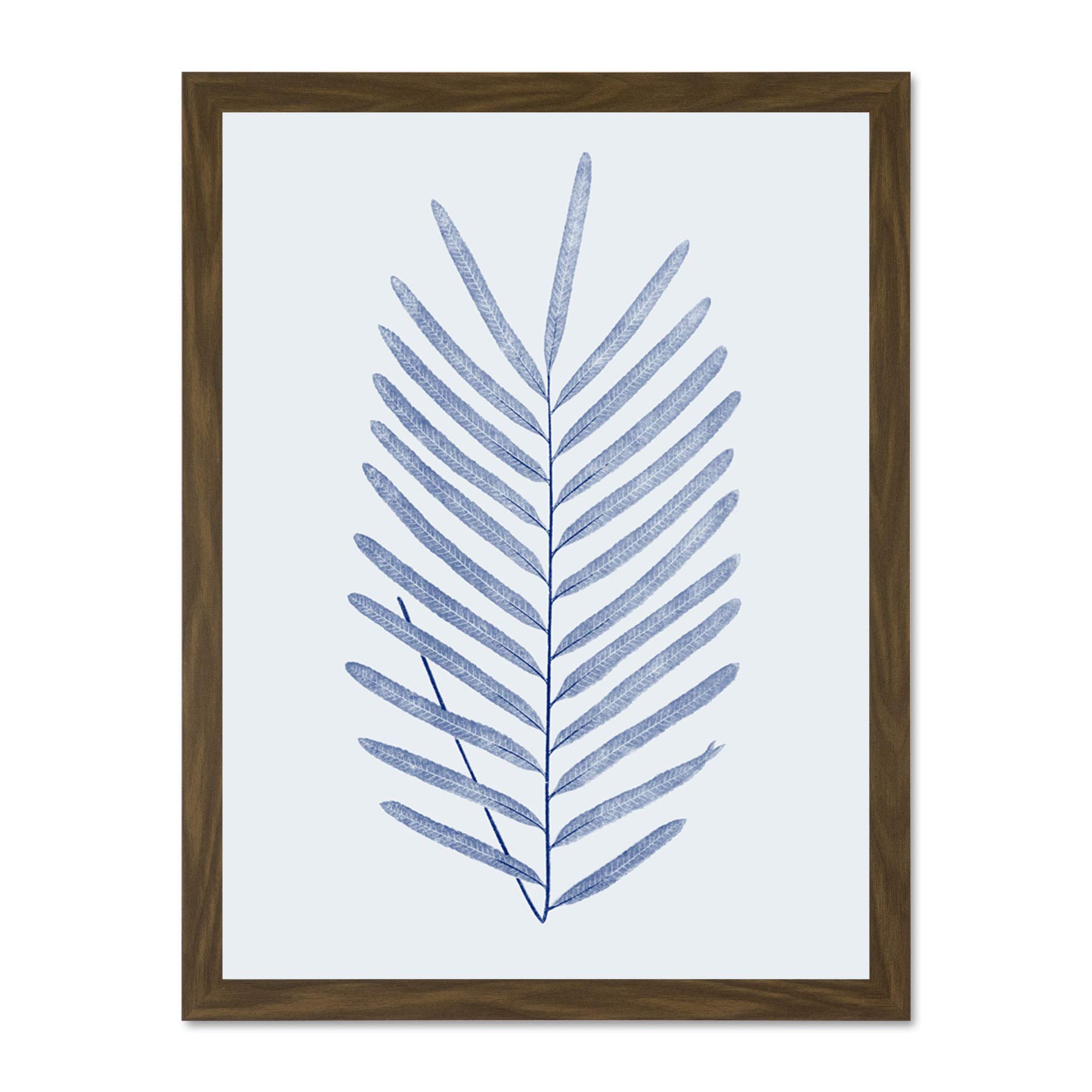 Wee Blue Coo Botanics Cobalt Fern Diversifolium Large Brown Framed Art Print Wall Poster 18x24 inch