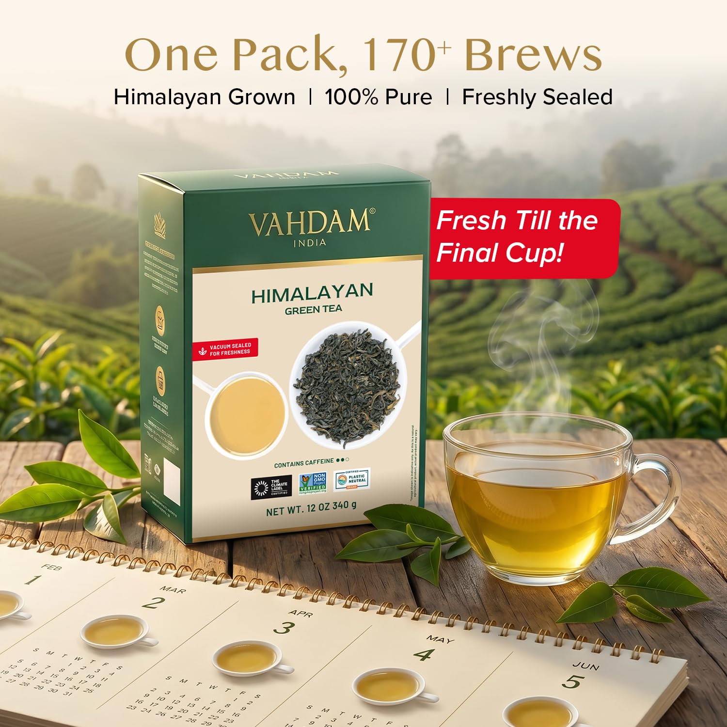 VAHDAM Hojas de té verde de Himalaya 340g Té verde de hojas sueltas cosecha fresca