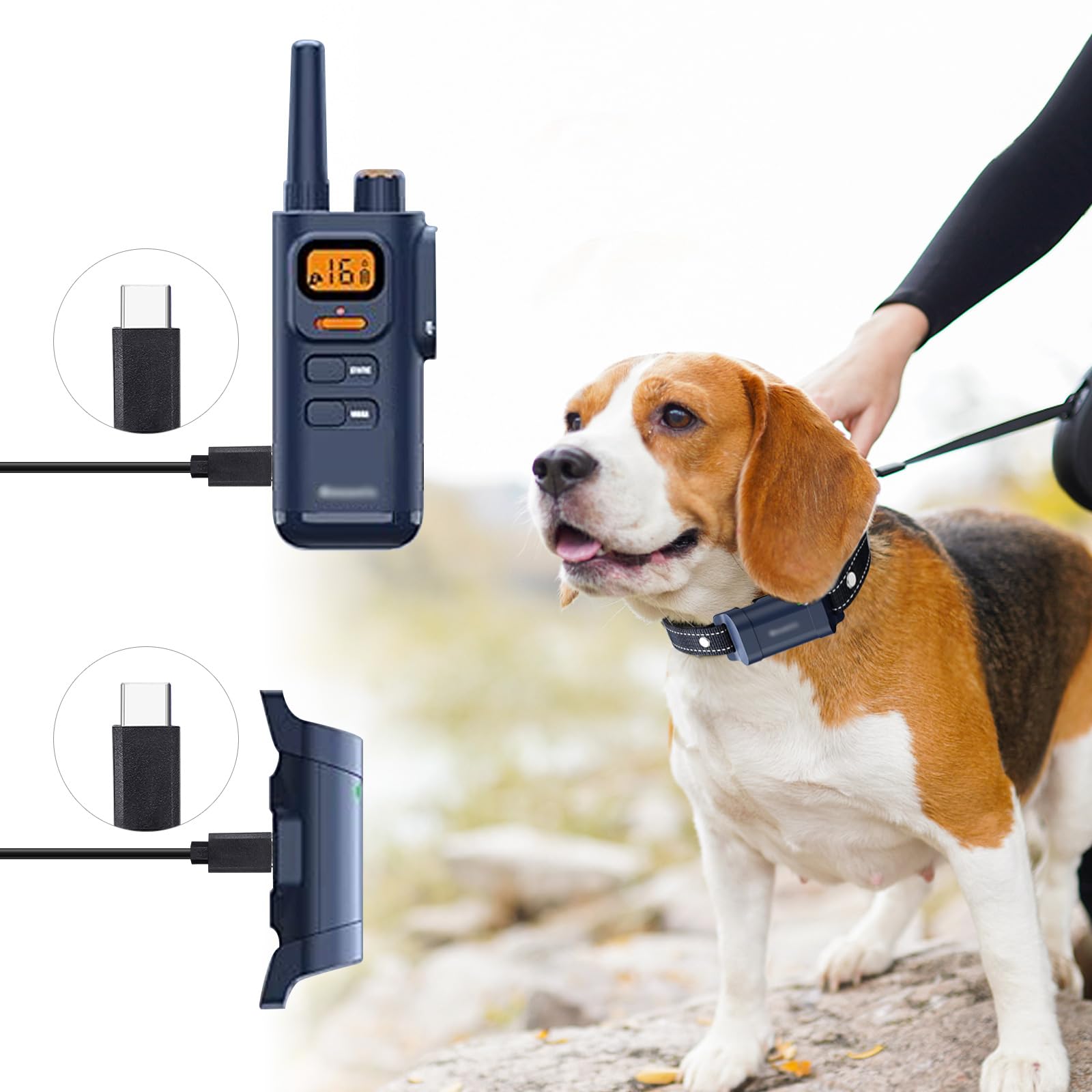 6-in-1 USB-Ladegerät Für Hundetrainings-Halsbänder | Kompatibel Mit Bousnic, Mini Educator, Petspy & Mehr | Mit Micro-USB, USB-C & DC-Steckern