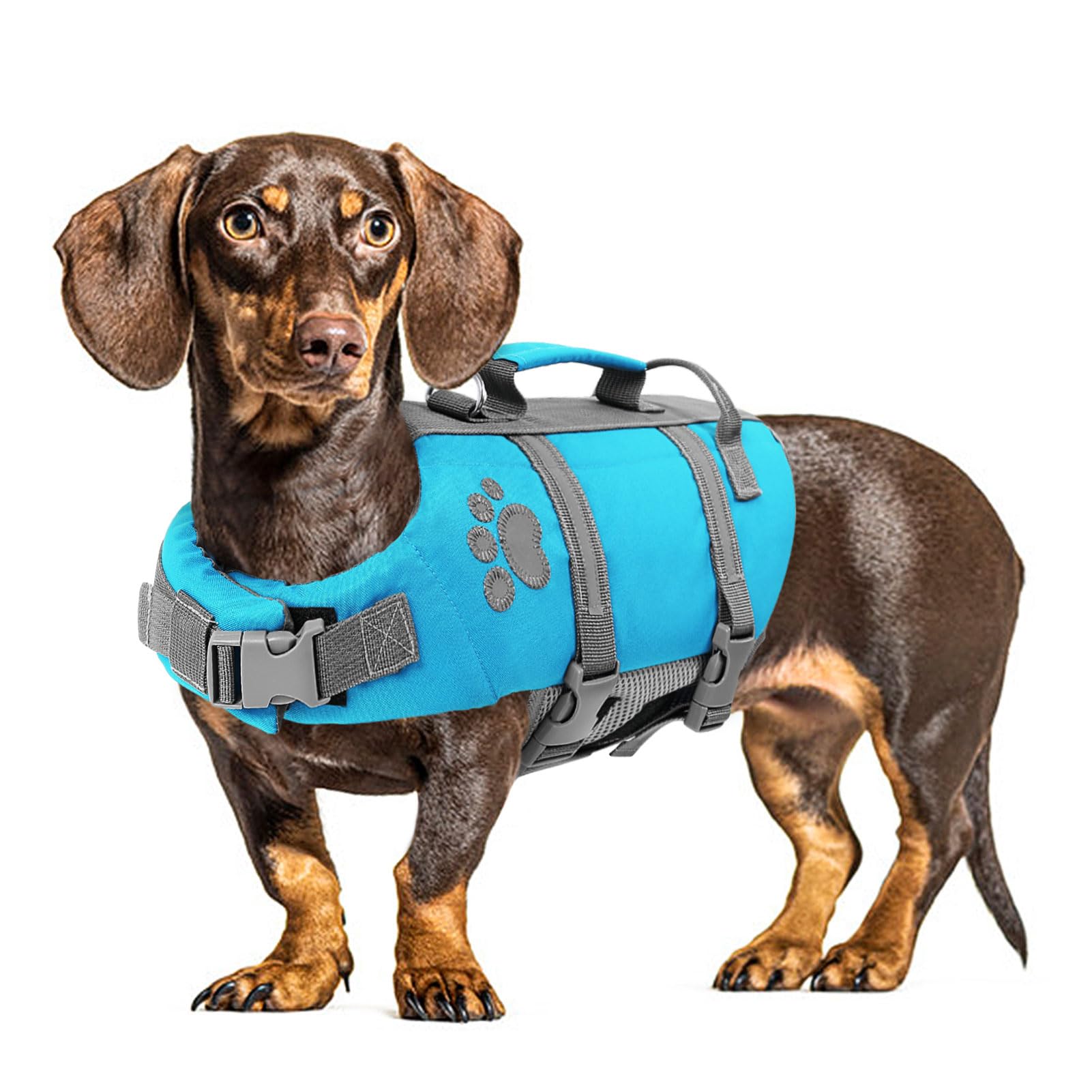 Queenmore Dachshund Life Jacket, Lightweight Adjustable Dog Life Vest With Rescue Handle For Dring, Swimming, Safety Vest For Sausage Dog,Corgi,Beagle,French Bulldog, Blue, M โ image 1