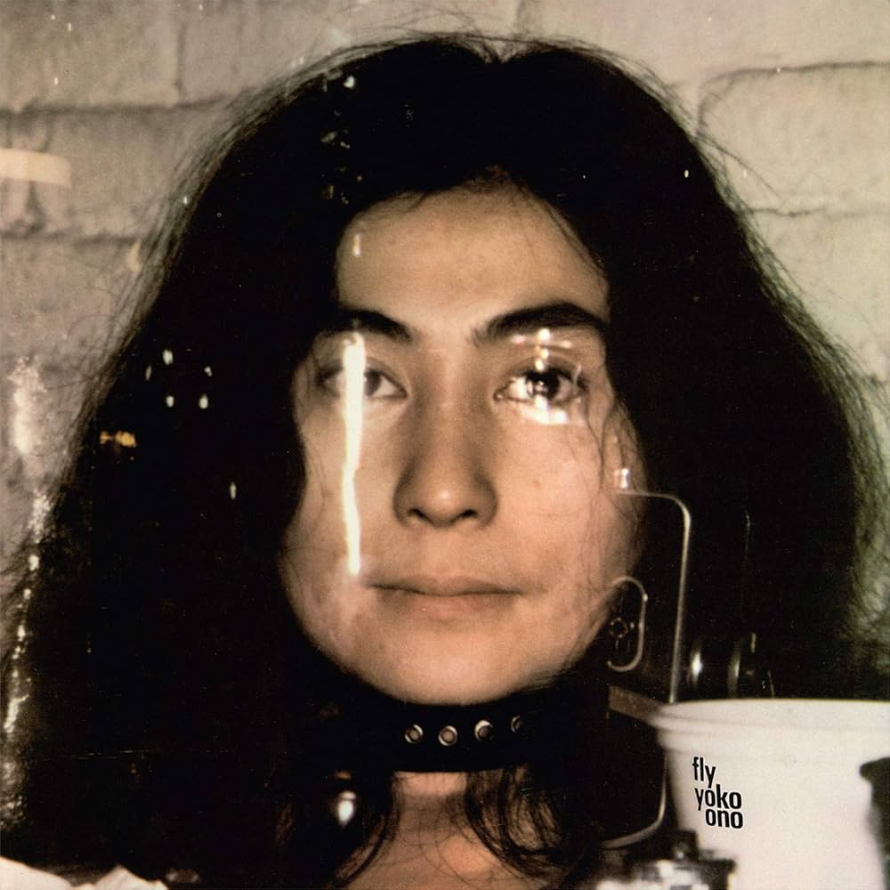 2LP盤 Yoko Ono /Fly Amazon.co.jp: FLY [2LP] (BLACK VINYL) [Analog]: ミュージック