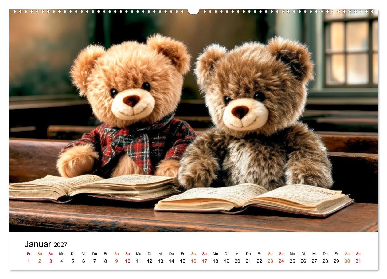 Teddybären - im Doppelpack durchs Jahr (hochwertiger Premium Wandkalender 2027 DIN A2 quer), Kunstdruck in Hochglanz: Zwei kleine Fellfreunde meistern das große Leben. (CALVENDO Tiere)