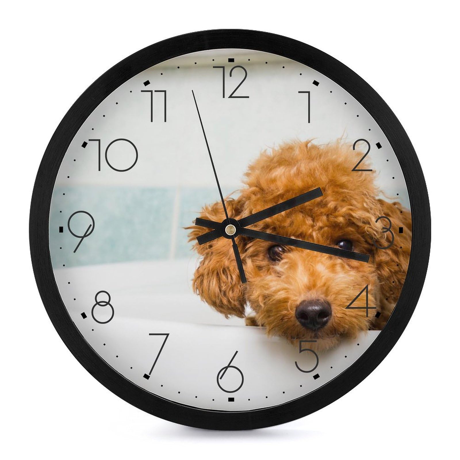 Amazon.co.jp: トイ・プードル 子犬 (2) 掛け時計 おしゃれ 北欧