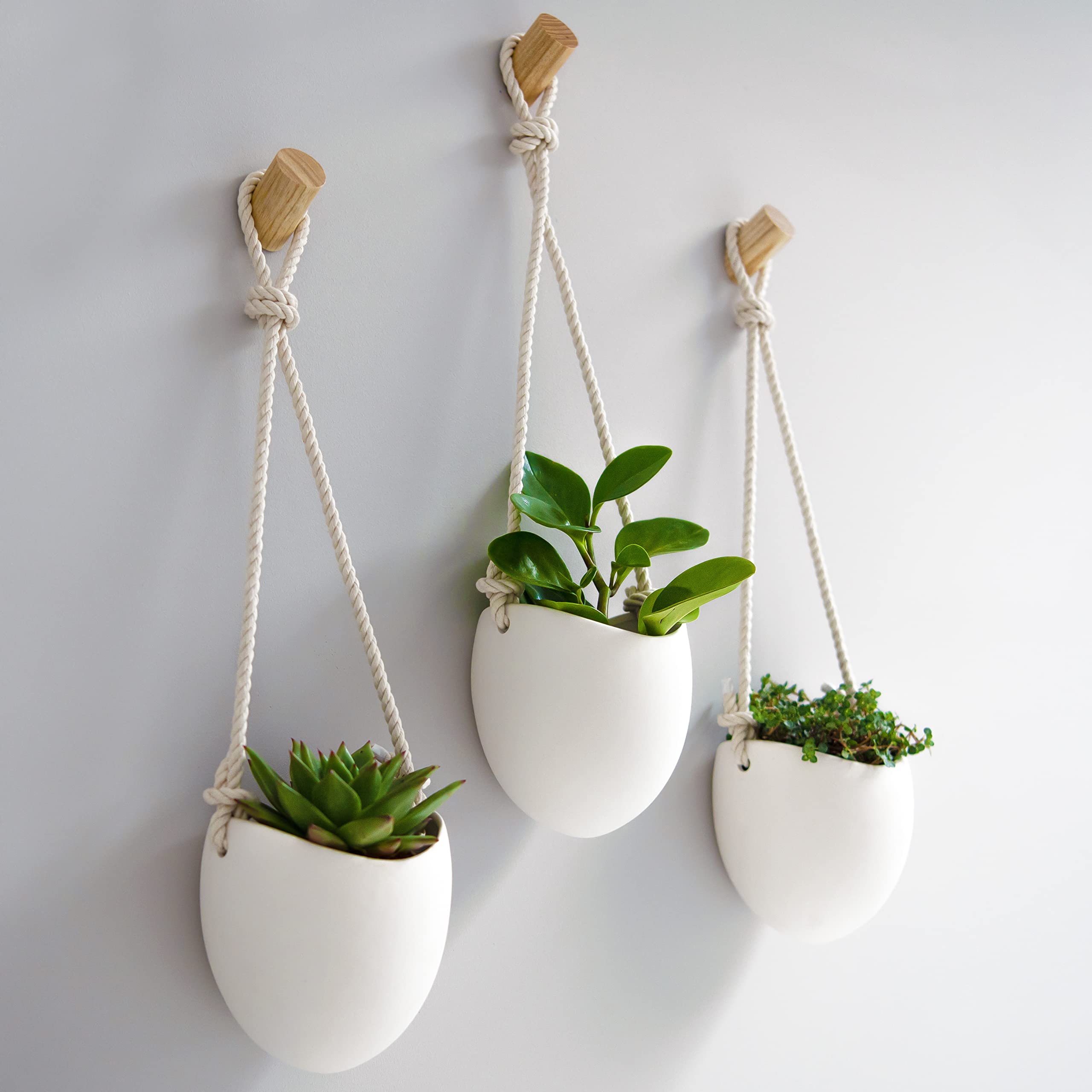 TIANLIN Vaso Da Parete In Legno Di Pino 23x15.5 Cm Con Corda E Gancio - Portavasi Da Appendere Per Balcone, Soggiorno E Angolo Verde Fai Da Te