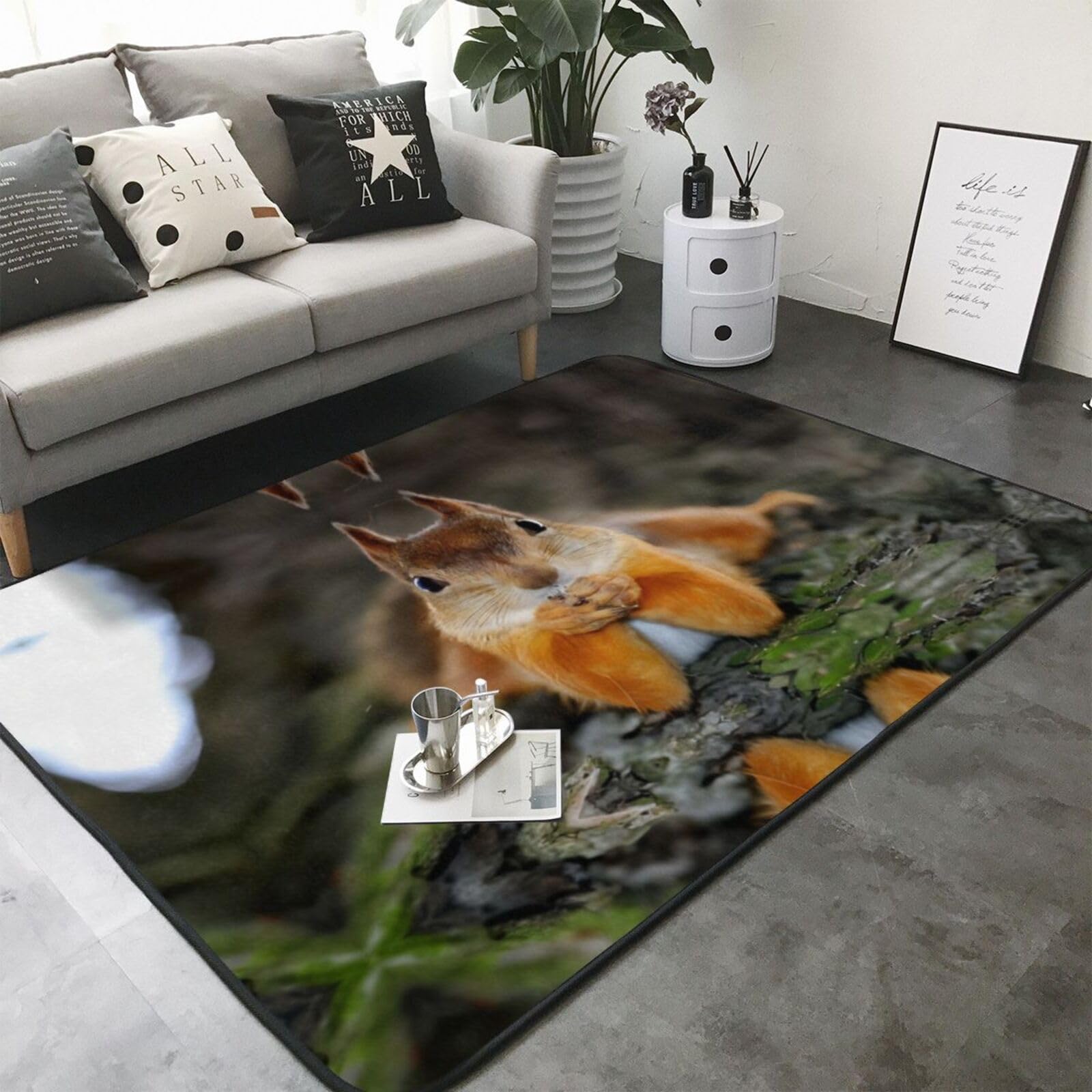 Tapis antidérapant en fausse fourrure avec imprimé écureuil amusant 203,2 x 147,3 cm – Couvre-lit confortable pour salon, chambre, bureau et plus encore