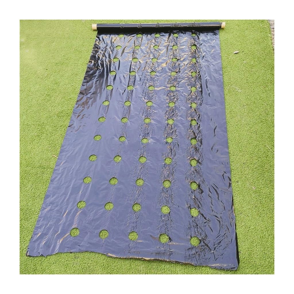 EVANEM Biodegradeable Weed Control Mulch Film 0.02MM Thickness, For Allotments Veg Patch Borders Ground Cover (Size : 0.95x50m with holes)