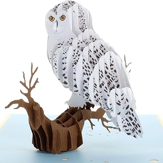 iGifts And Cards Magiczna sowa 3D rozkładana kartka z życzeniami – zwierzę, zoo, uroczy ptak, noc, zabawa, ukończenie sz