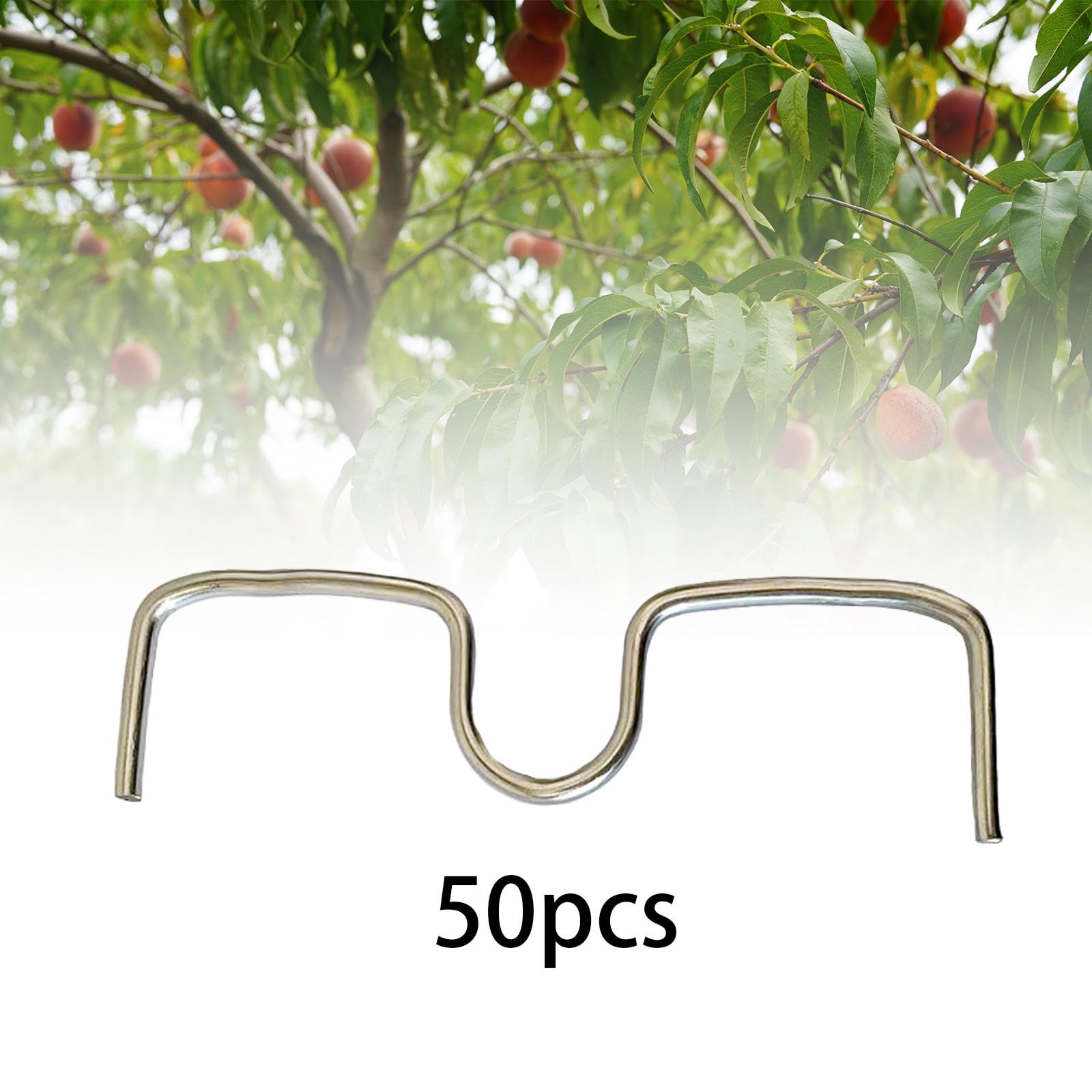 50 Pièces Écarteur de Branche Arbre Fruitier Outil Courbure Attache Métal Solide Réutilisable Adapté Entretien Vergers Arboricole, M13