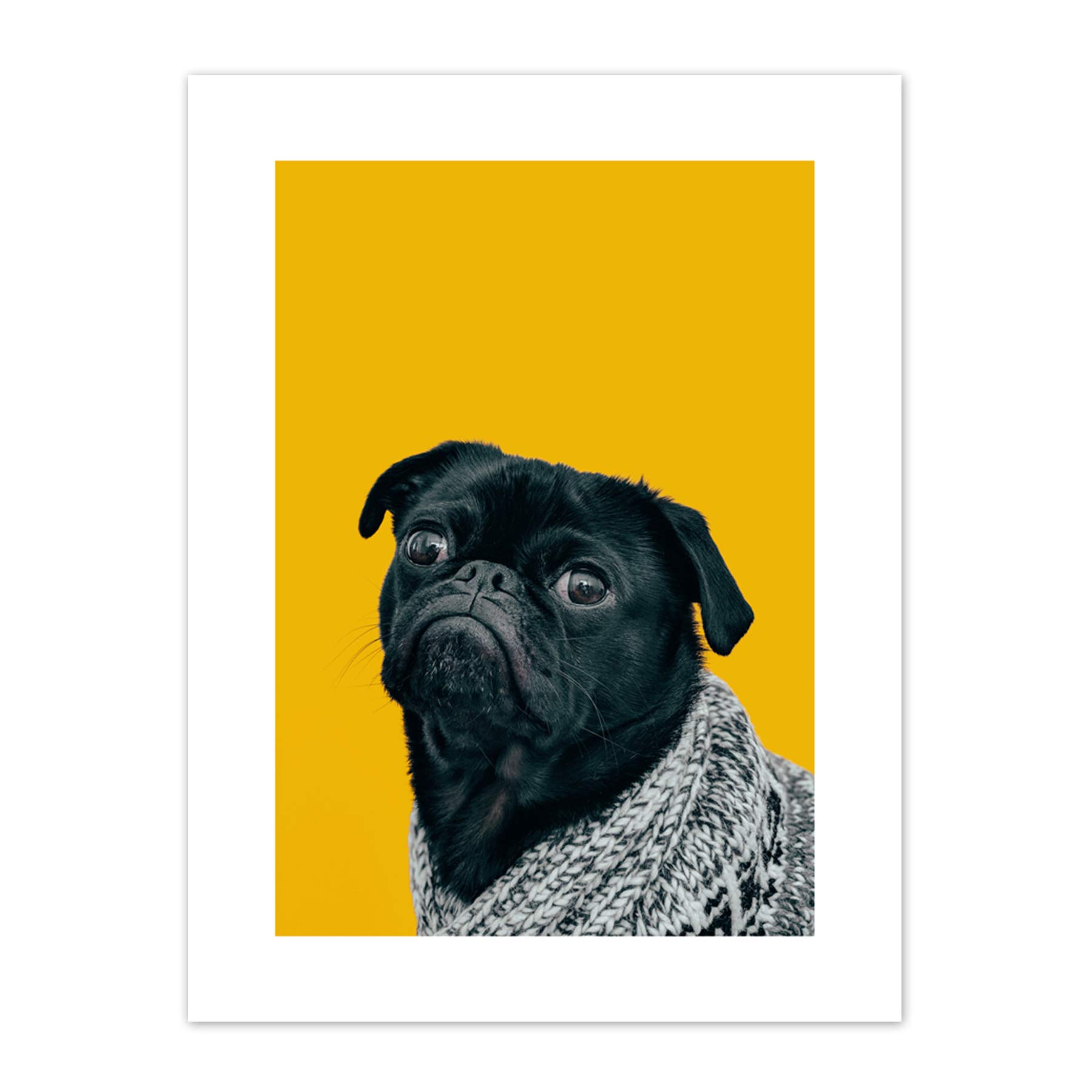 Deluvio Pug Dog Puppy in Sweater Canvas Wall Art Print