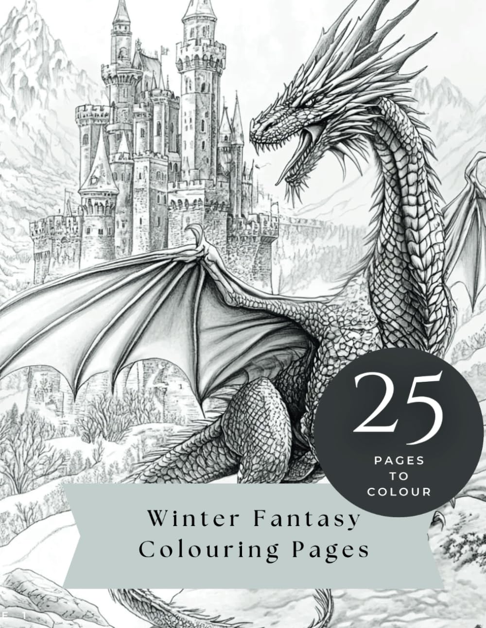 Winter Fantasy Colouring Book Pages - 25 Images for Adults and Children