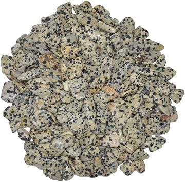 Hypnotic Gems Materials 1 lb Dalmatian Jasper Tumbled Stones - Grade 1 - XSmall - 0.5" to 1" Avg. - Bulk Natural Rocks Polished Gemstone Supplies for Wicca, Reiki, Energy Crystal Healing