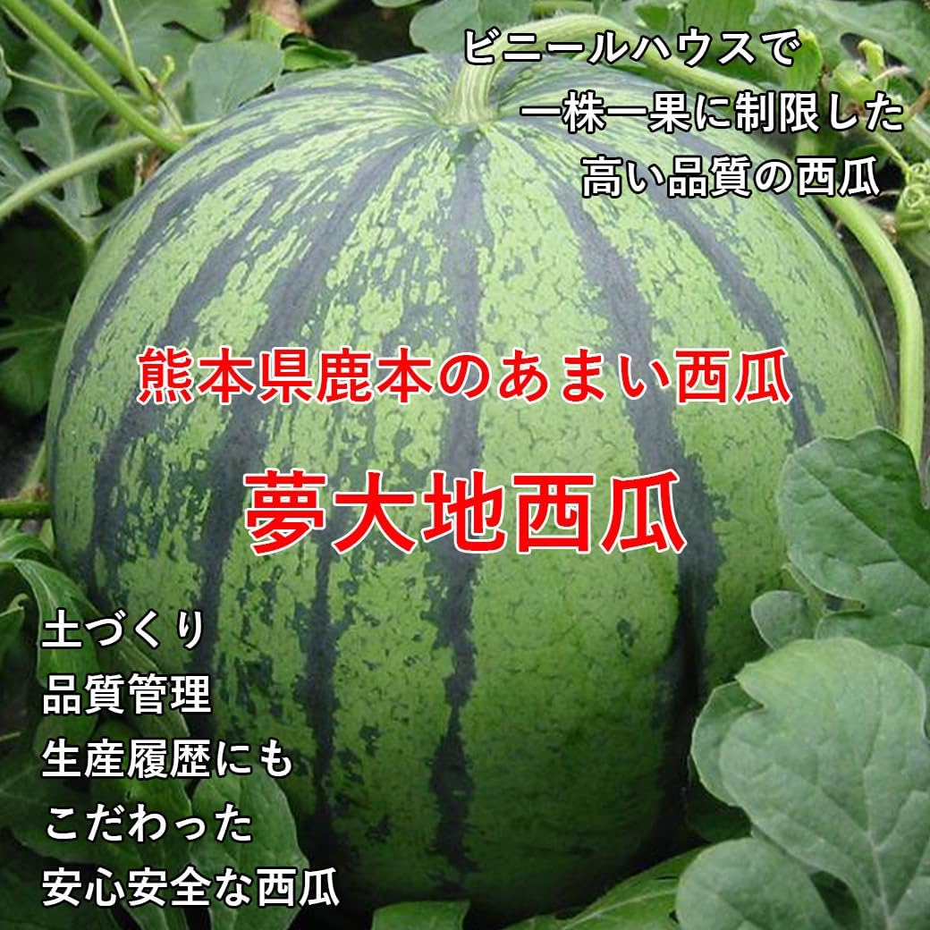 群馬県ブランド西瓜 藪塚こだますいか（小玉スイカ）秀品 2玉(約6キロ