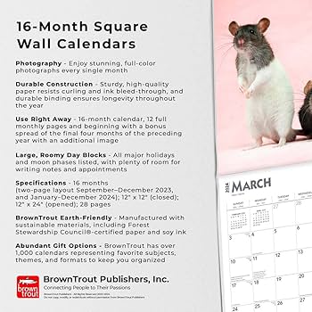 ❤️新品未使用❤️2024年 ねずみ カレンダー ブラウントラウト 可愛い ネズミ Amazon | 2024年 ねずみ カレンダー/ブラウントラウト 30.5 x 61