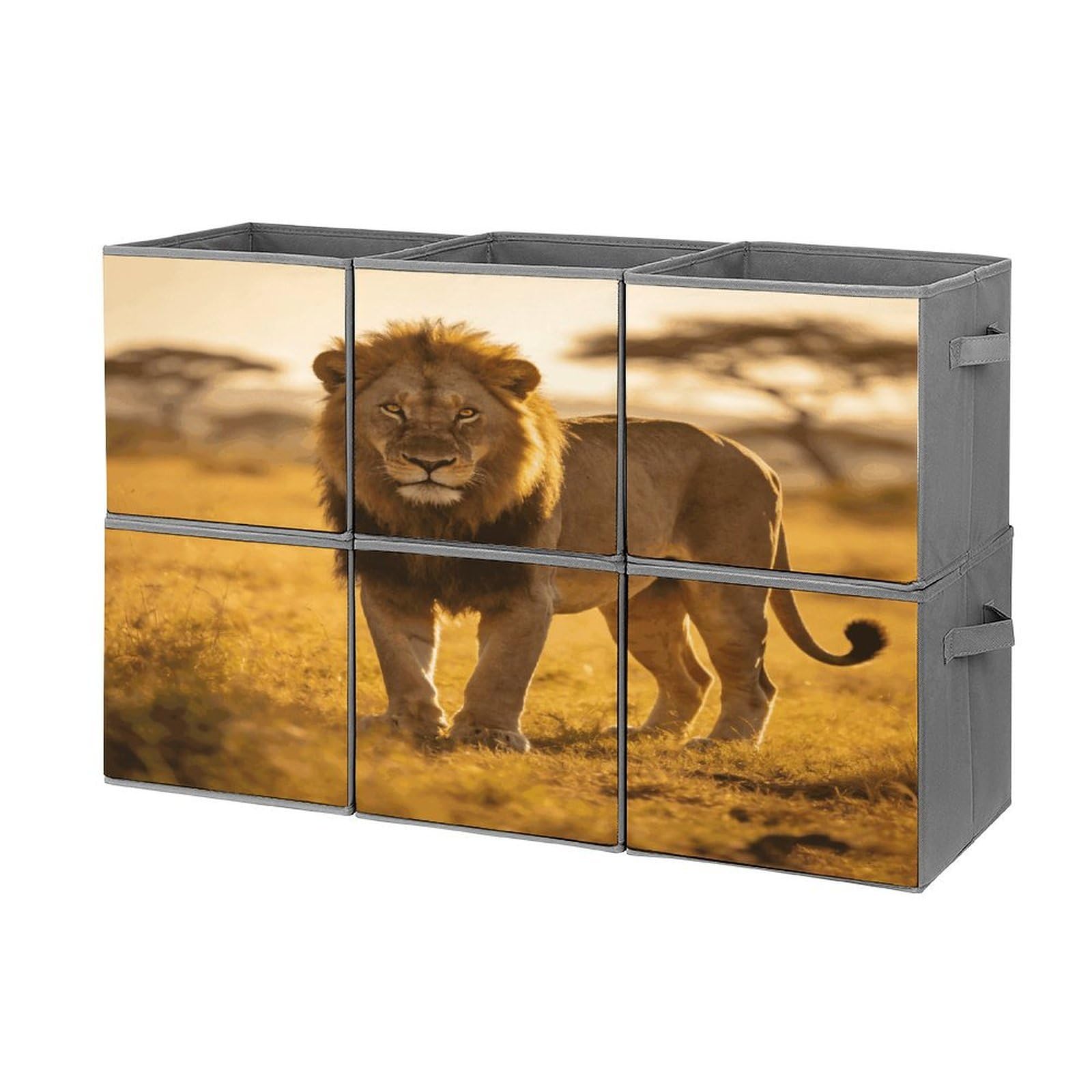 Fodpand Style Wild Lion Of The Wilderness Cube Bins With Double Handles,Set Of 6 Cube Organizer, Stackable And Foldable Storage Bins For Organization, Closet, Shelves, Offices
