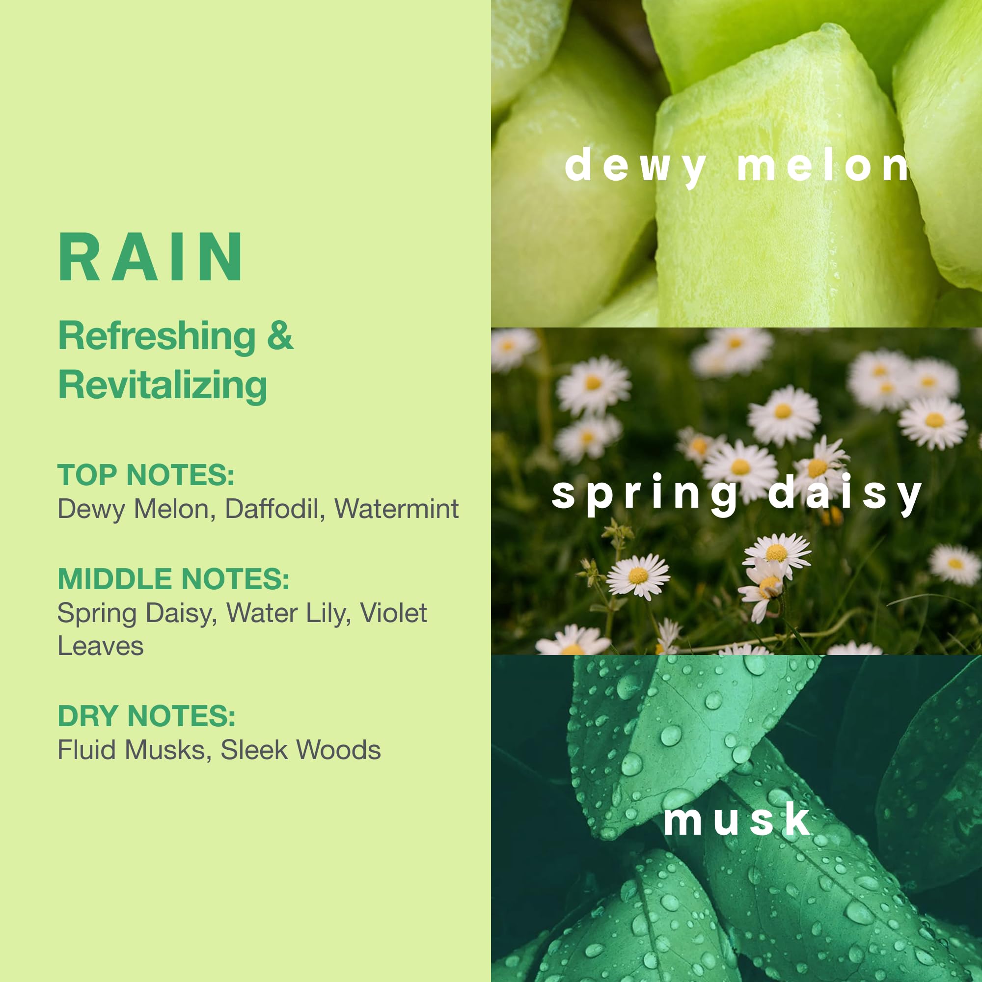 Clean Rain edp vapo 60ml