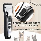 Ver la foto 2