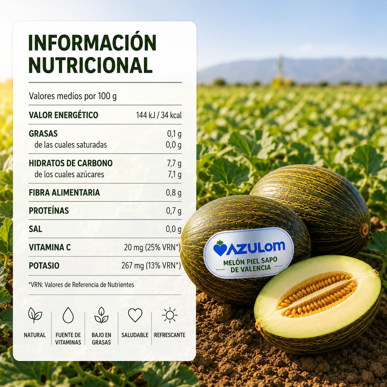 Melón Piel de Sapo Premium de Valencia – Caja 3 Unidades XXL (3 kg aprox. por pieza) – Melón Dulce y Fresco de Origen Español – Fruta Natural Seleccionada
