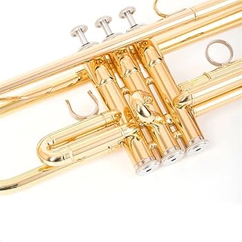 Amazon | 金メッキ、銀メッキ、銅製の初心者向けプロ演奏