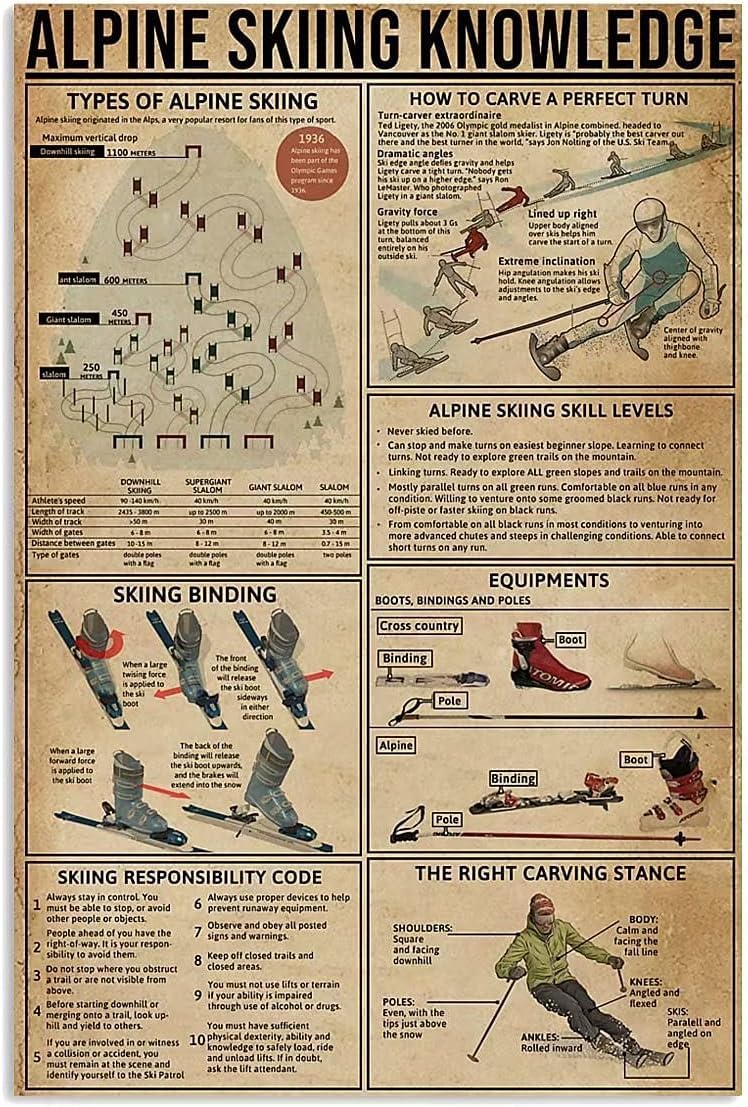 Hlbsdm Types Of Alpine Skiing Tin Poster Alpine Skiing Knowledge Metal Signs Bedroom Bathroom Ski Club School Kitchen Home Art Wall Decoration Plaque 12X16 Inch