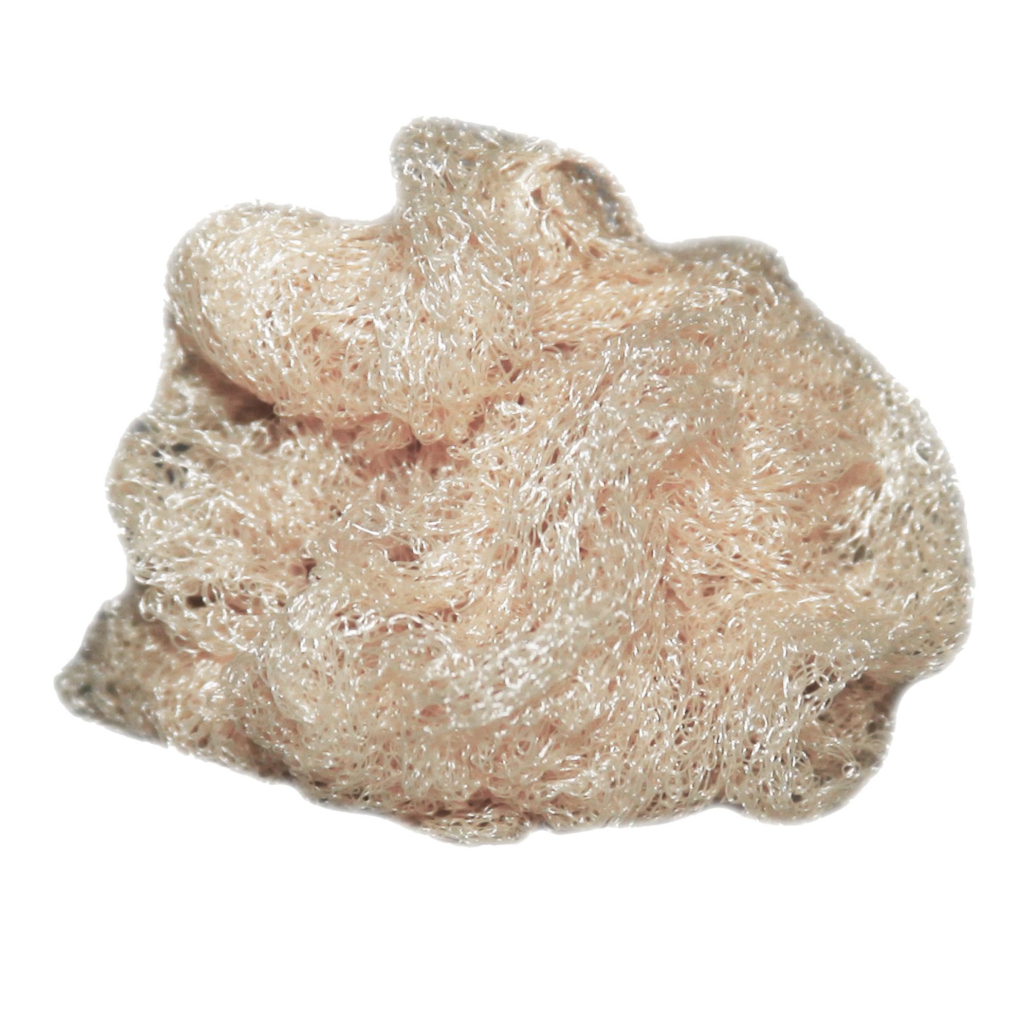 Hy Equestrian Hy Horse Rider Hair Nets - Blonde - Standard Weight Size 2