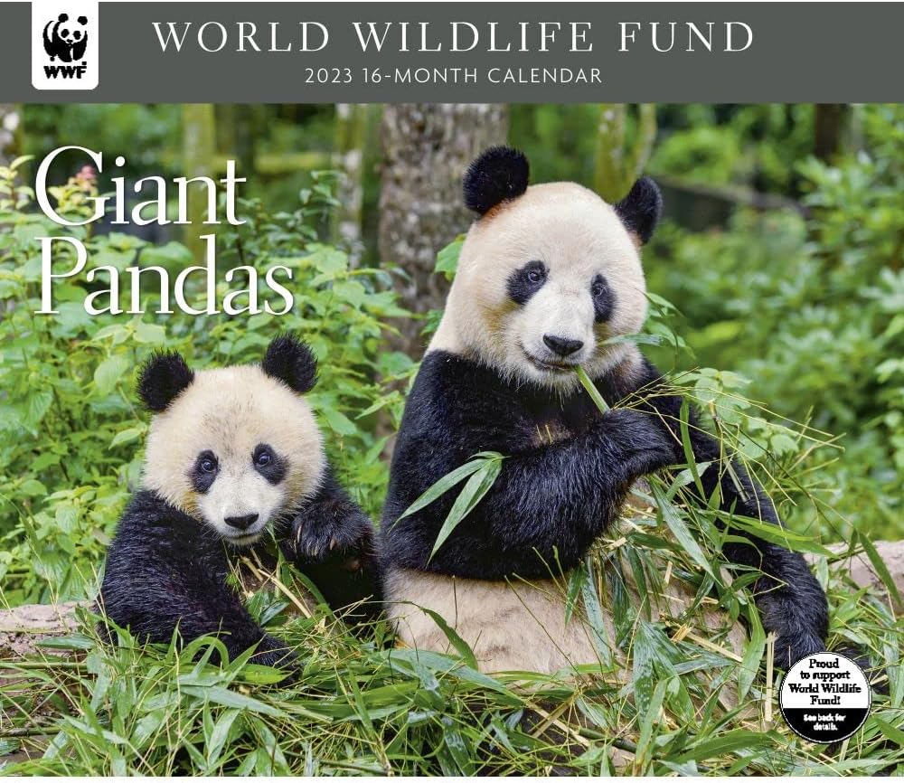 Calendar Ink Giant Pandas WWF 2023 Wall Calendar Amazon co uk calendar-ink-giant-pandas-wwf-2023-wall-calendar-amazon-co-uk