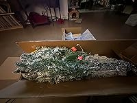 Review Image by Jane R. Jane R.