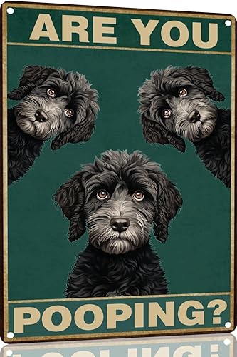 Vista 50 de Bichon Frise Dog - Cartel de 12 x 16 pulgadas con texto en inglés "Are You Pooping" para decoración de baño, póster de metal para perro amante