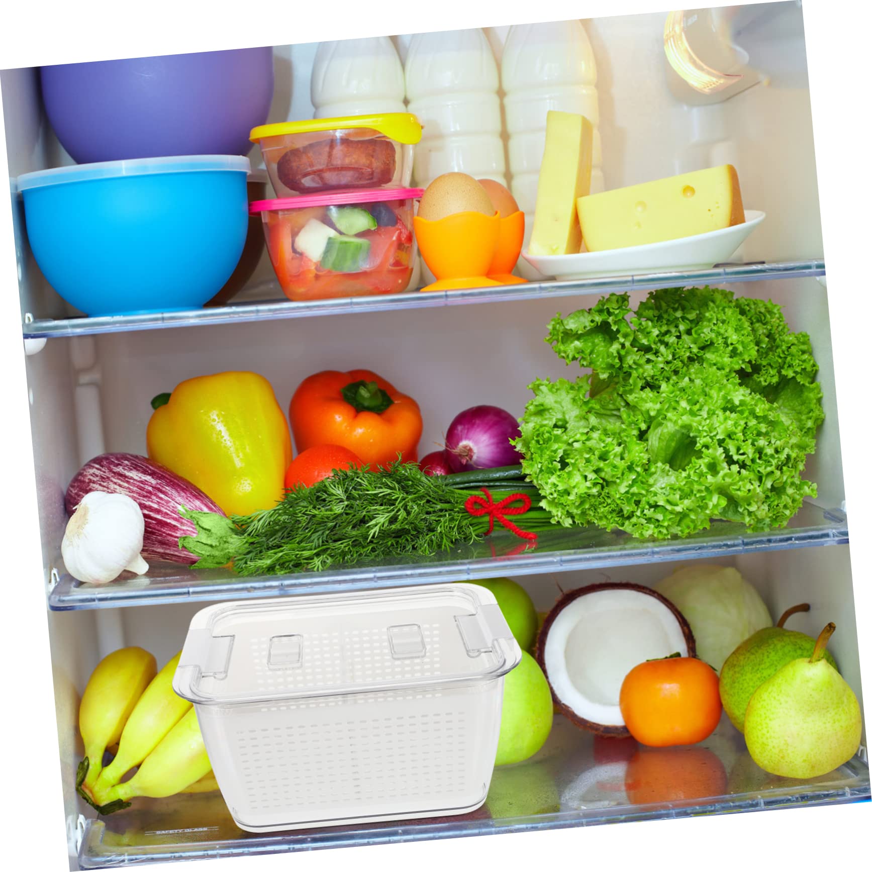 TOPBATHY Frischebox mit Deckel und Abtropfkorb Luftdichte Lebensmittelbox aus Pet und Pp Praktische Aufbewahrung für Obst und Meeresfrüchte in Küche